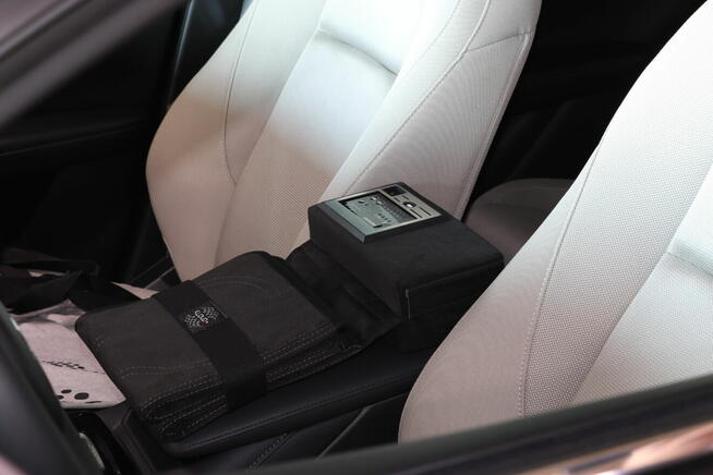 KLOUD VET SET BEMER EVO BIOMAG w 48h dostawa