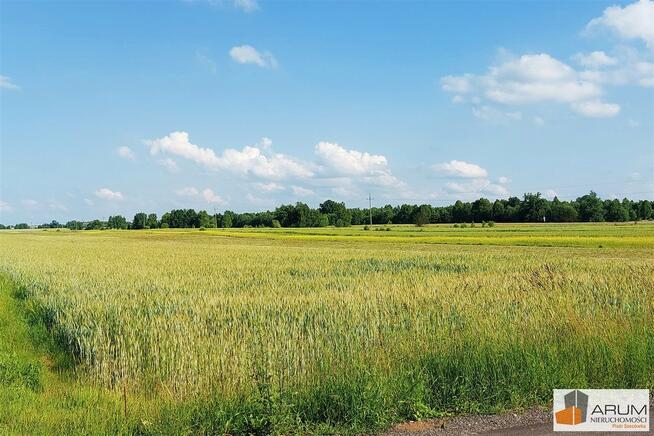 Działka rolno-budowlana Lubojna gm. Mykanów