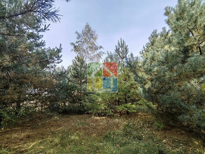 Działka pod zabudowę nad jeziorem Lucieńskim