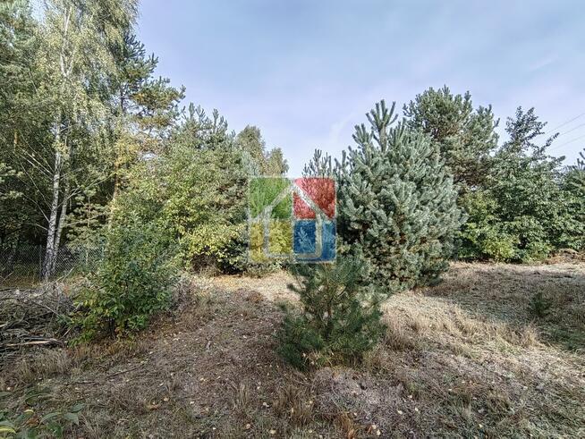 Działka pod zabudowę nad jeziorem Lucieńskim