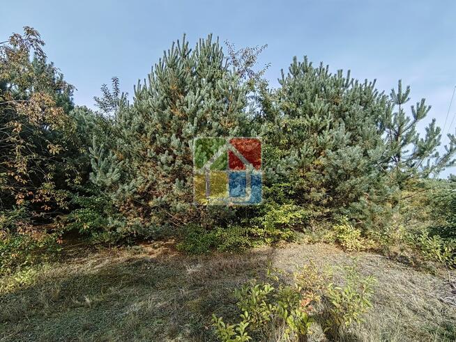 Działka pod zabudowę nad jeziorem Lucieńskim