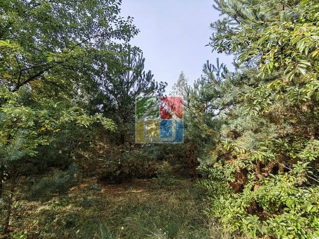 Działka pod zabudowę nad jeziorem Lucieńskim