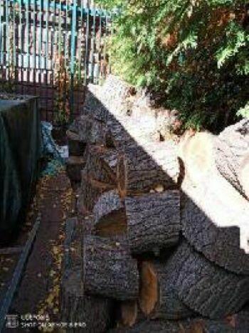 Drewno kominkowe - atrakcyjna cena 400 zł za 1m3