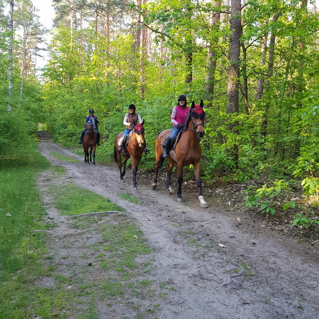 Spokojny nocleg w Bydgoszczy, na dobę lub dłużej