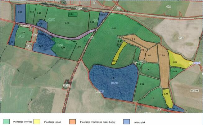 Grunty rolne: Koszajny, aktywne plantacje wierzby
