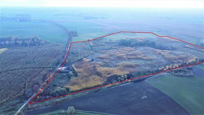 Grunty rolne: Koszajny, aktywne plantacje wierzby