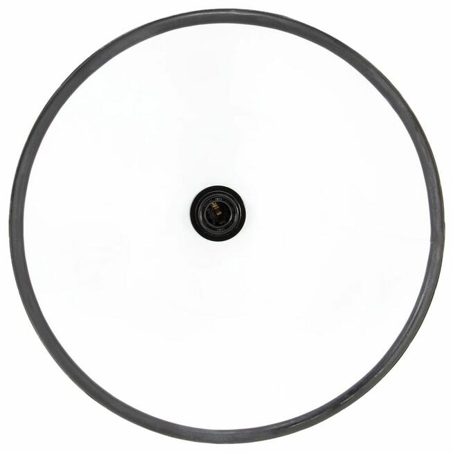 vidaXL Industrialna lampa wisząca, 25 W, czarna, okrągła, 30