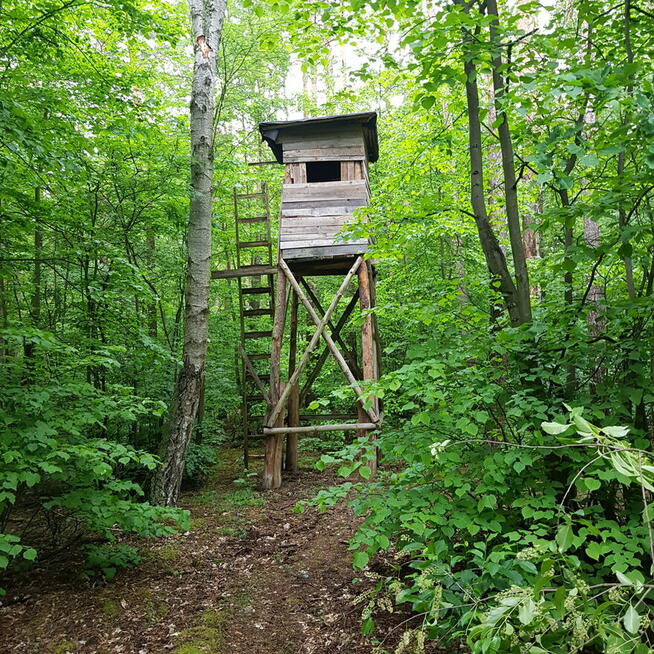 Spokojny nocleg w Bydgoszczy, na dobę lub dłużej