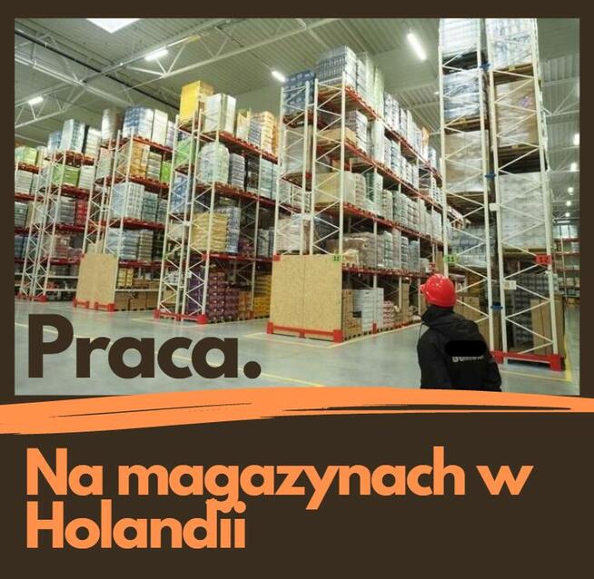 Praca w Cantrach Logistycznych w Holandii - Magazyny