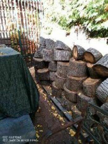 Drewno kominkowe - atrakcyjna cena 400 zł za 1m3