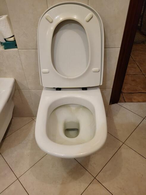 SPRZEDAM SEDES Z DESKĄ I BIDET Z BATERIĄ