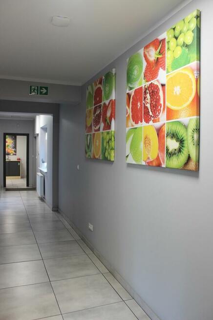 Przedstawiciel handlowy ,Lubuskie, Zachodniopomorskie