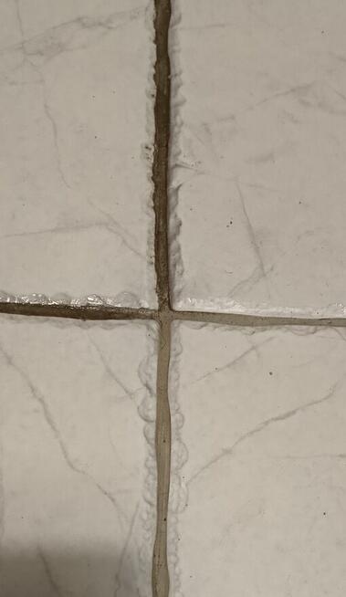 Wynajem myjka parowa / parownica Karcher SC5