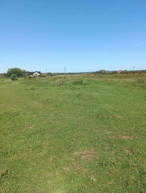 Osiek - działka 3,2ha z zabudowaniami