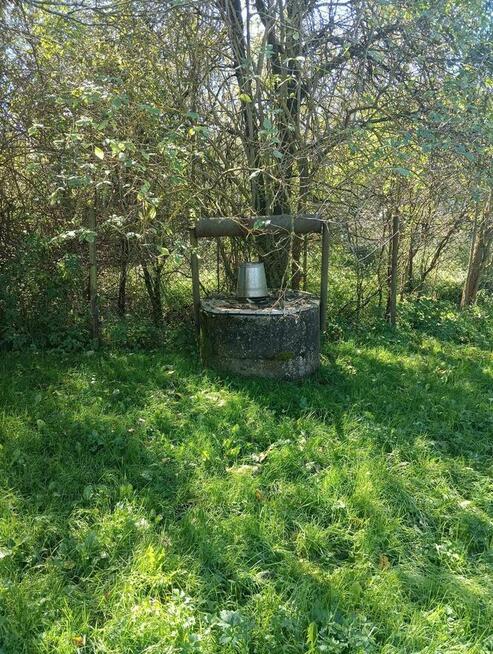 Osiek - działka 3,2ha z zabudowaniami