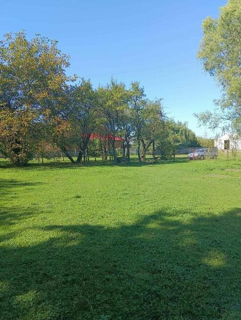 Osiek - działka 3,2ha z zabudowaniami