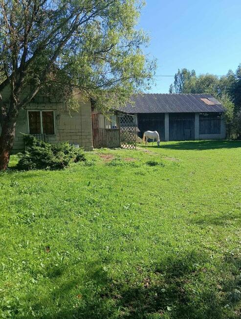 Osiek - działka 3,2ha z zabudowaniami