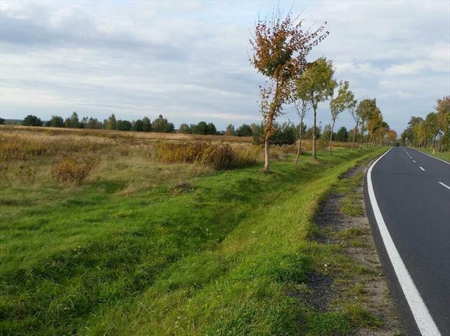 Działka Zgorzelec/Węgliniec