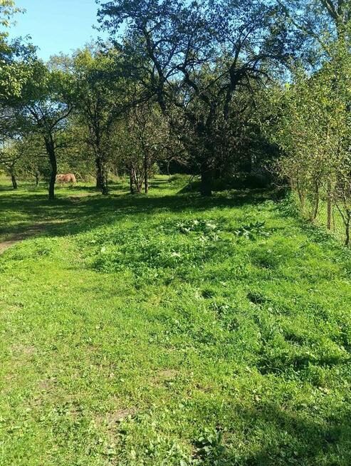 Osiek - działka 3,2ha z zabudowaniami