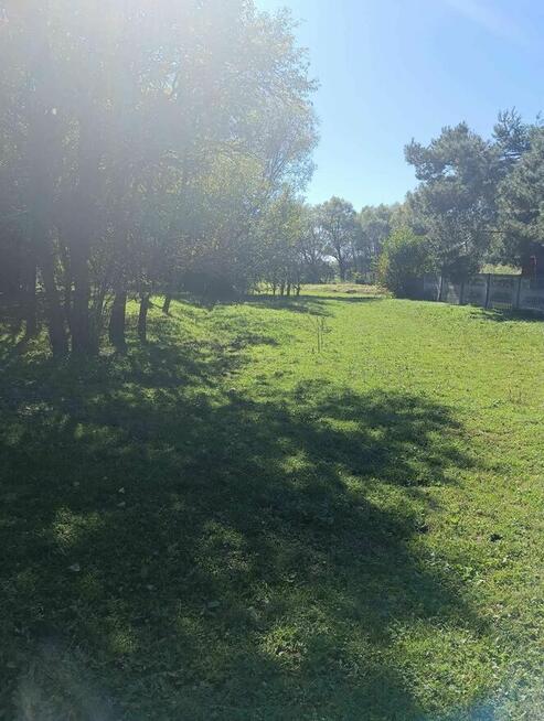 Osiek - działka 3,2ha z zabudowaniami