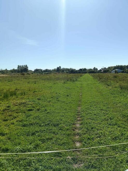 Osiek - działka 3,2ha z zabudowaniami