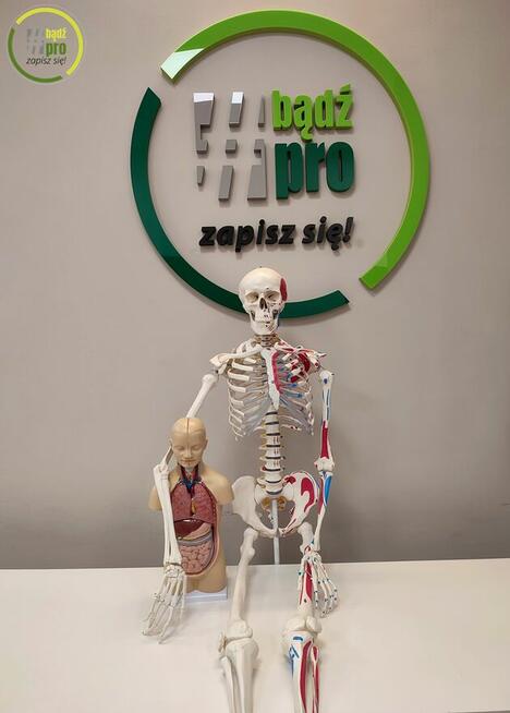 Technik masażysta - Policealna Szkoła Medyczna Proedukacja