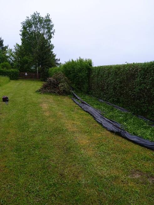 Porządki w ogrodzie-liście, nasadzenia, trawnika, trawników