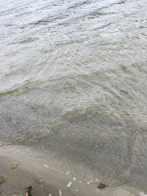 Mazury, dom letniskowy nad jeziorem Marksoby