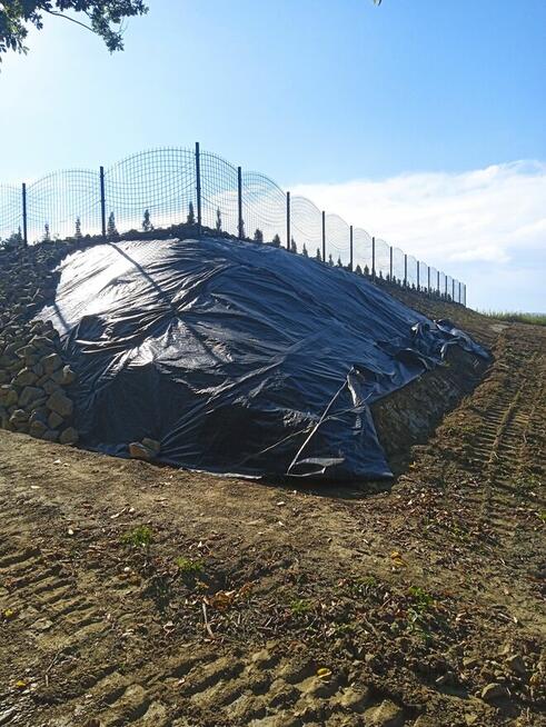 Porządki w ogrodzie-liście, nasadzenia, trawnika, trawników
