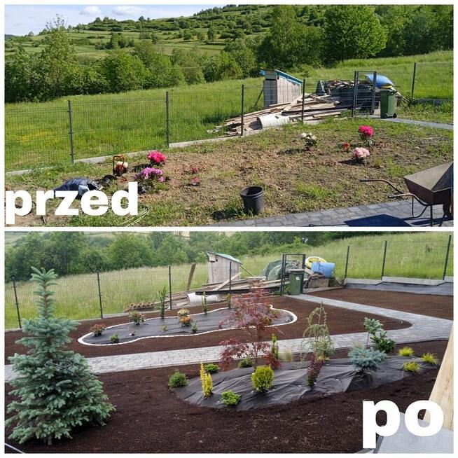 Porządki w ogrodzie-liście, nasadzenia, trawnika, trawników