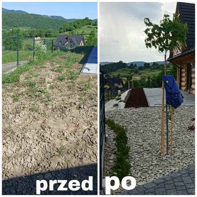 Porządki w ogrodzie-liście, nasadzenia, trawnika, trawników