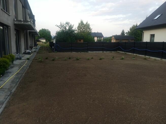 Porządki w ogrodzie-liście, nasadzenia, trawnika, trawników