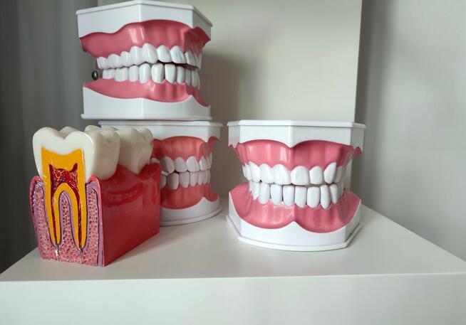 Asystentka stomatologiczna - Policealna Szkoła Medyczna