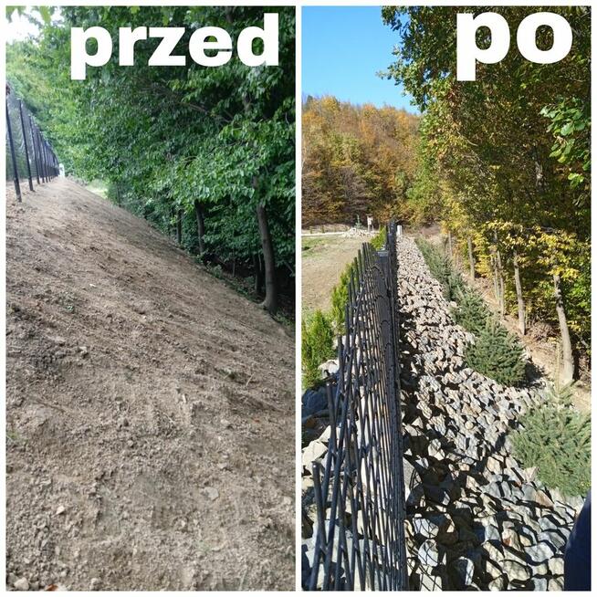 Porządki w ogrodzie-liście, nasadzenia, trawnika, trawników