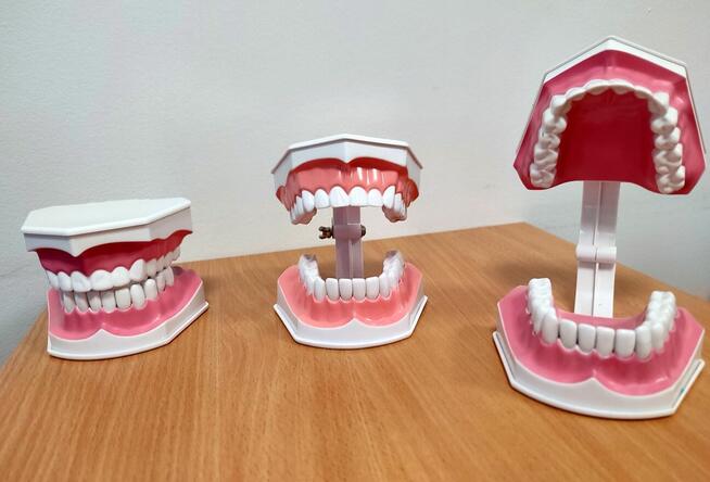 Asystentka stomatologiczna - Policealna Szkoła Medyczna