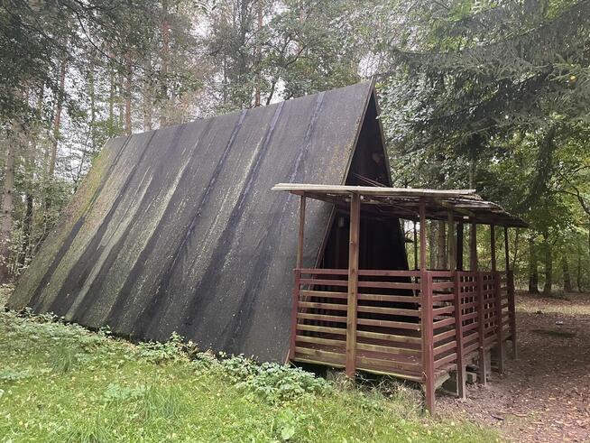 Domek letniskowy Chojno - Koziołek