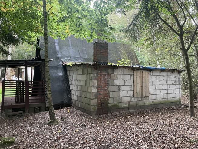 Domek letniskowy Chojno - Koziołek