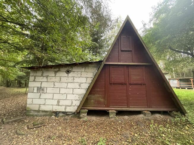 Domek letniskowy Chojno - Koziołek