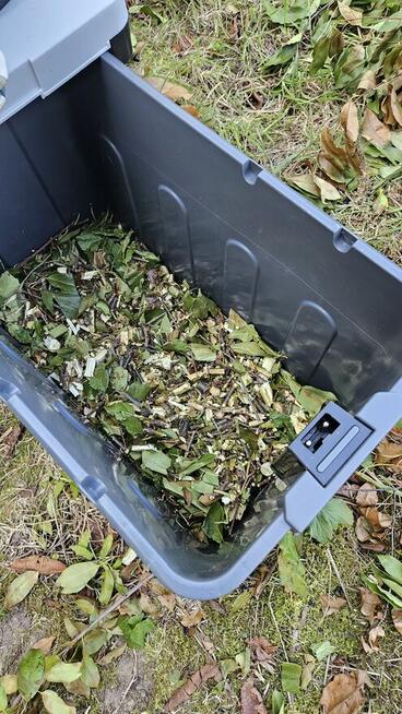 Wynajem Rębak rozdrabniacz do gałęzi elektryczny Łódź