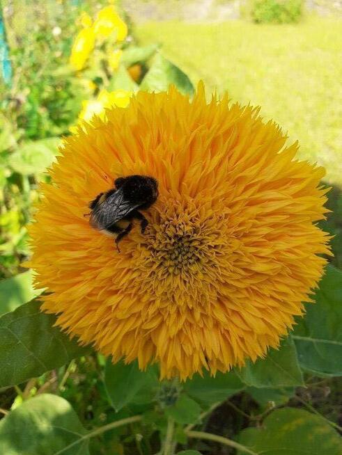 Wirtualna znajomość PRZYIACIELE