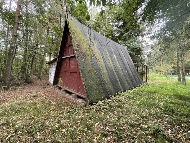 Domek letniskowy Chojno - Koziołek