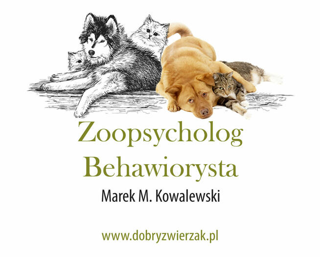 Zoopsycholog / Behawiorysta | Pies / Kot | Promocja!