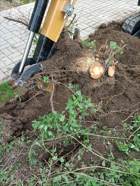 Usługi minikoparką, prace ziemne, wynajem mini koparki
