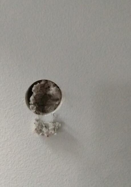 Celuloza, wdmuchiwanie ocieplenia, naprawa izolacji