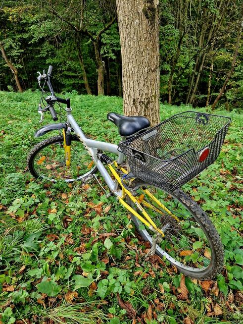 Rower górski TREK