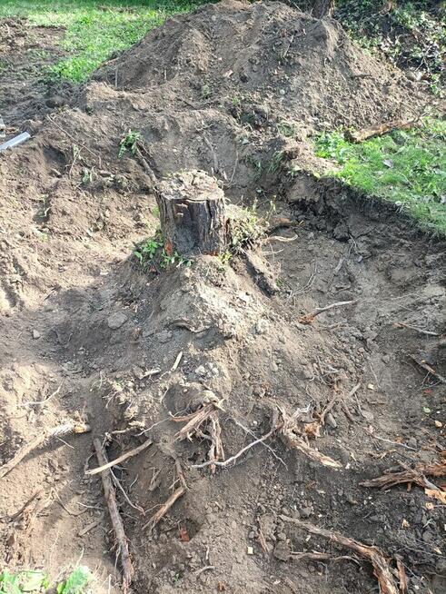 Usługi minikoparką, prace ziemne, wynajem mini koparki