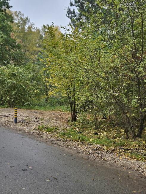 Malownicza działka niedaleko Warszawy