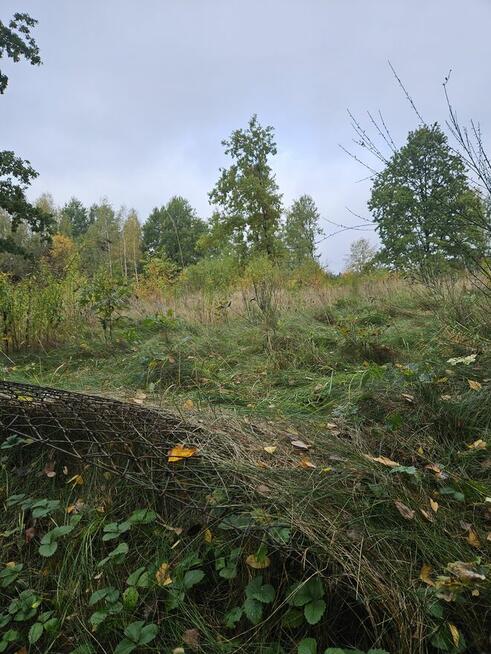 Malownicza działka niedaleko Warszawy