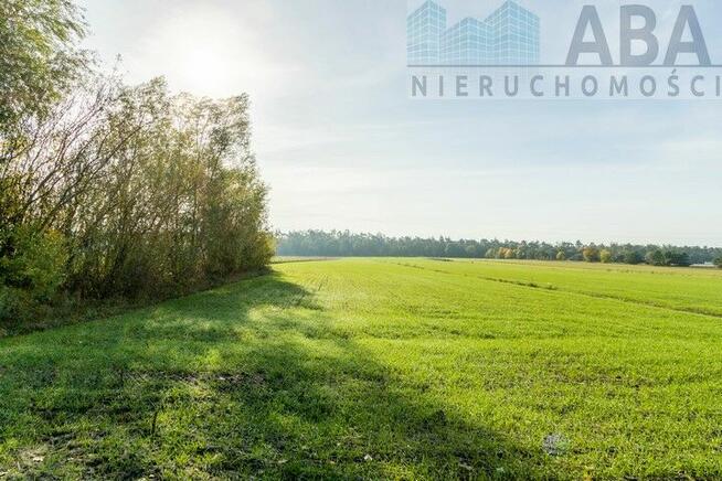 Działki rolne o powierzchni 2,04 ha gm. Kościelec