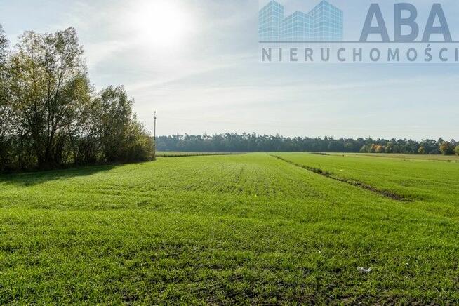 Działki rolne o powierzchni 2,04 ha gm. Kościelec